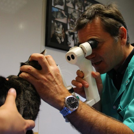 Dr DUBOIS examen ophtalmologique au biomicroscope